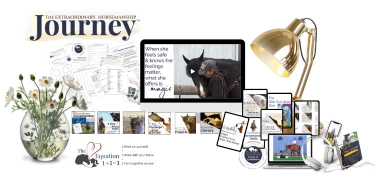 The Extraordinary Horsemanship Journey program